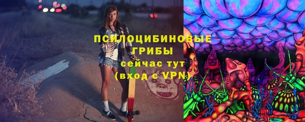 мдма Богданович