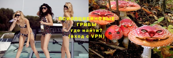 мдма Богданович
